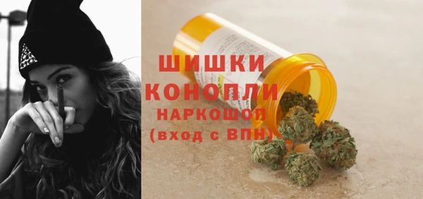 ПСИЛОЦИБИНОВЫЕ ГРИБЫ Медногорск
