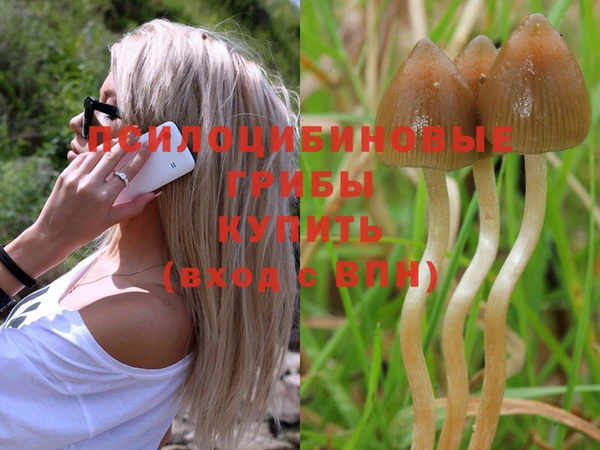 прущие крисы Мегион