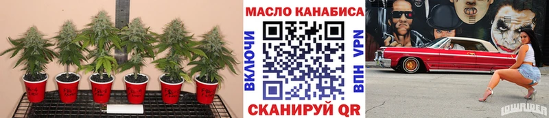 Дистиллят ТГК гашишное масло Рошаль