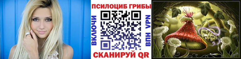 Купить закладки  Рошаль  Галлюциногенные грибы ЛСД 